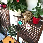 Luxury Mihai Bravu * Bukarest