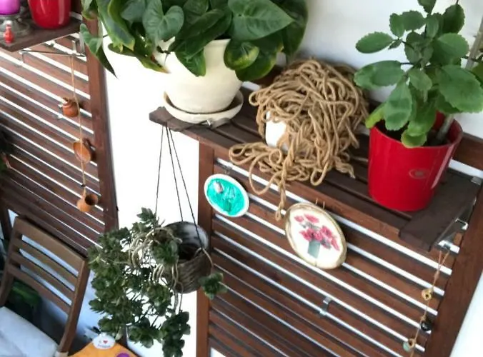 Luxury Mihai Bravu * Bucureşti