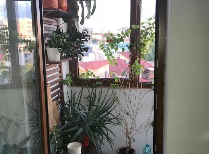 Apartament Luxury Mihai Bravu